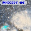 [MHD2004] 406