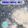 [MHD2004] 482