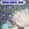 [MHD2004] 490