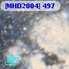 [MHD2004] 497