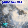[MHD2004] 501