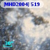 [MHD2004] 519