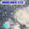 [MHD2004] 529