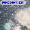 [MHD2004] 538