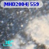 [MHD2004] 559