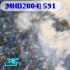 [MHD2004] 591