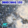 [MHD2004] 593