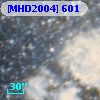 [MHD2004] 601
