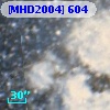 [MHD2004] 604
