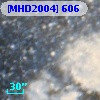 [MHD2004] 606