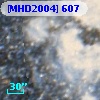 [MHD2004] 607