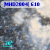 [MHD2004] 610