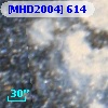 [MHD2004] 614