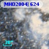 [MHD2004] 624