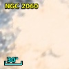 NGC  2060