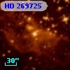 HD 269725