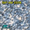 SV* HV  2578