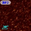 [RP2006]  655