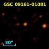 GSC 09161-01081