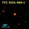 TYC 9161-960-1