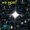 HD  36207