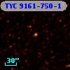 TYC 9161-750-1