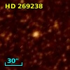 HD 269238