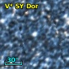 V* SY Dor