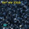 SV* HV  2310