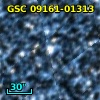 GSC 09161-01313