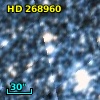 HD 268960