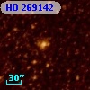 HD 269142