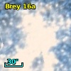 Brey  16a