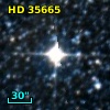 HD  35665