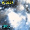 HD  35861