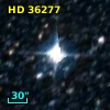 HD  36277