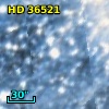 HD  36521