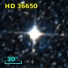 HD  36650