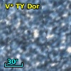 V* TY Dor