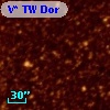 V* TW Dor