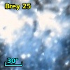 Brey  25
