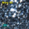 Brey  41