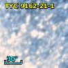 TYC 9162-21-1