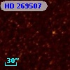 HD 269507
