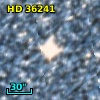 HD  36241