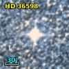 HD  36598