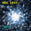 NGC  1852