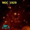 NGC  1929