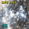 NGC  1955