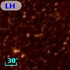 LH  33
